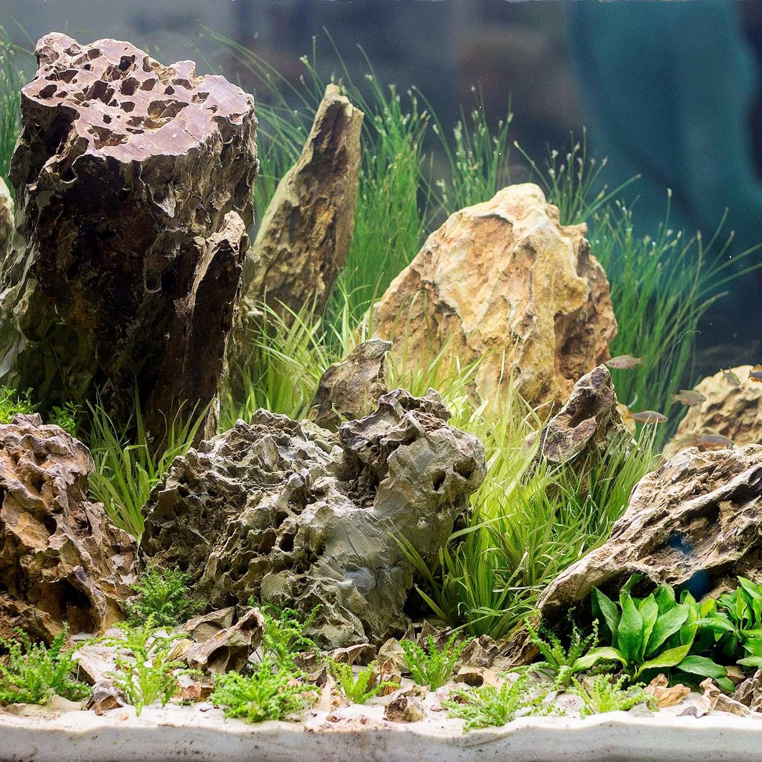 6-8 Inches Natural Dragon Stone 6 PCS Aquarium Rocks for Aquascaping, Aquarium Landscaping, Terrariums, Fish Tank Decoration, Vivariums, Paludarium, Reptile and Amphibian Enclosures