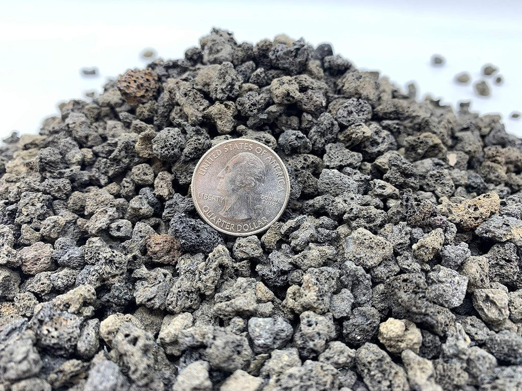 Black Lava Rock | 2 Quarts Bag | 1/4” Particle Size | Soil Aggregate for Bonsai, Cactus, Succulents, Aquariums, and More | Enables Optimal Drainage and Soil Aeration | The Bonsai Supply
