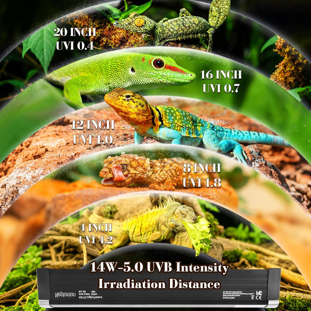 T5 Reptile UVB Light 22.7 Inches Fixture with UVB 5.0 Bulb High Output Hood for Terrariums, Basking Reptiles, Lizards, Chameleons, Iguanas, Bearded Dragons, 14W