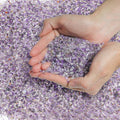 T4U Tumbled Chips Stones Crushed Crystal Quartz 1 LB, Irregular Shaped Gravels Pebbles Healing Stones, DIY Smoothed Rock for Potted Plant,Resin Art,Vase Fillers Aquarium Gravel Rocks (Amethyst)