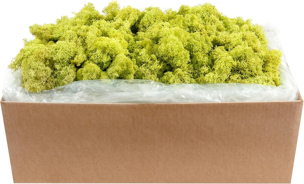 SuperMoss 59834 21497 7 Moss, Appx. 10 lb Bulk Case, Chartreuse