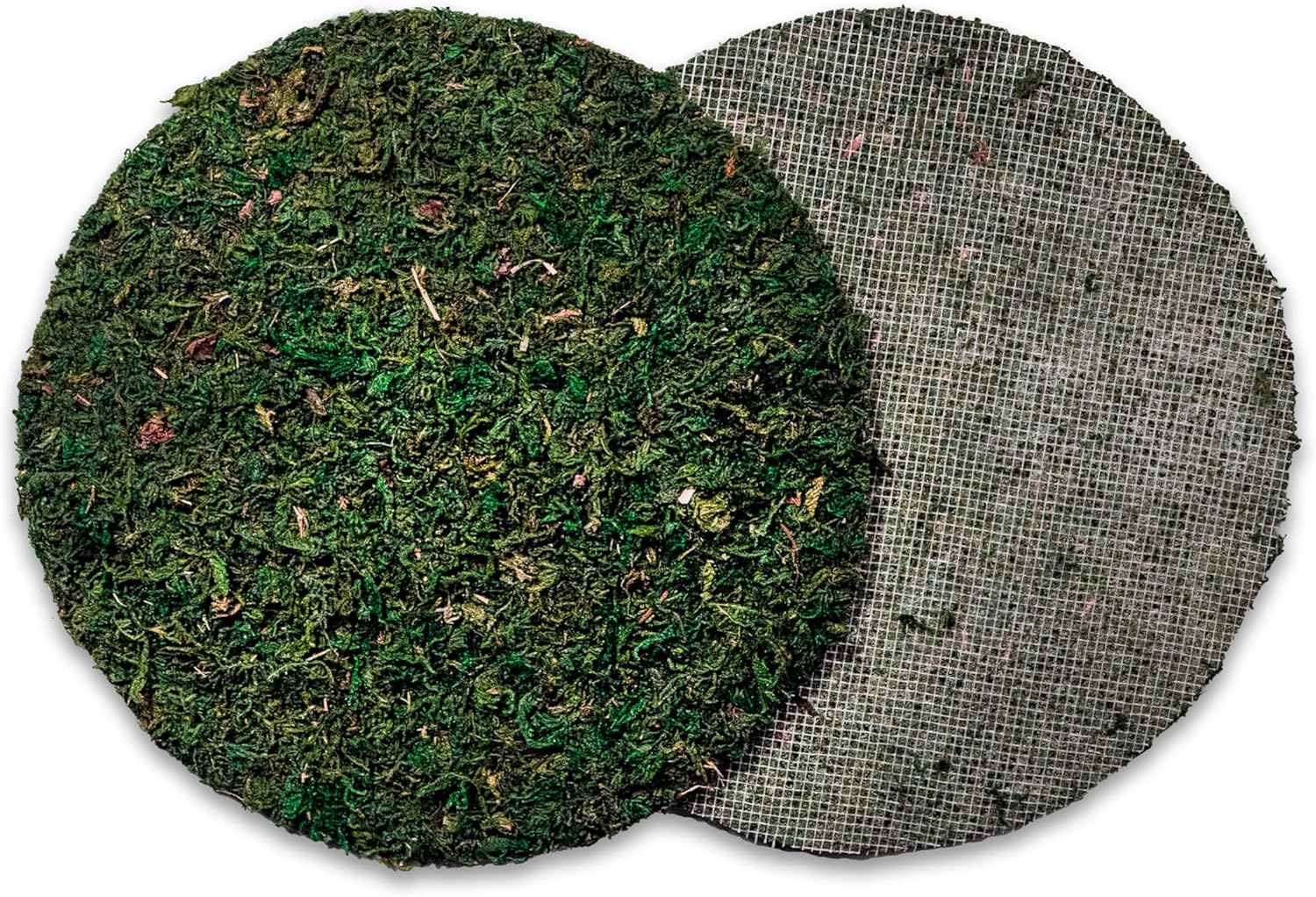 SuperMoss Topper Preserved Green Mountain Moss with Mesh Backing | Indoor Plant Cover for Flowerpots, Orchid Pots, Succulent Soil, Terrariums, and Craft Décor, 3 Count