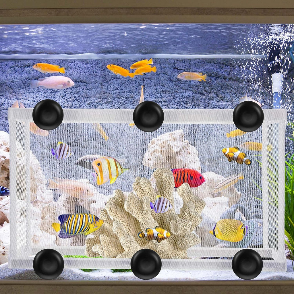 2 Pieces Fish Tank Breeder Net Mesh Breeder Box Fish Hatchery Isolation Separation Net Plastic Frame Fry Hatchery Incubator Mesh Breeding Box with Suction Cup for Aquarium