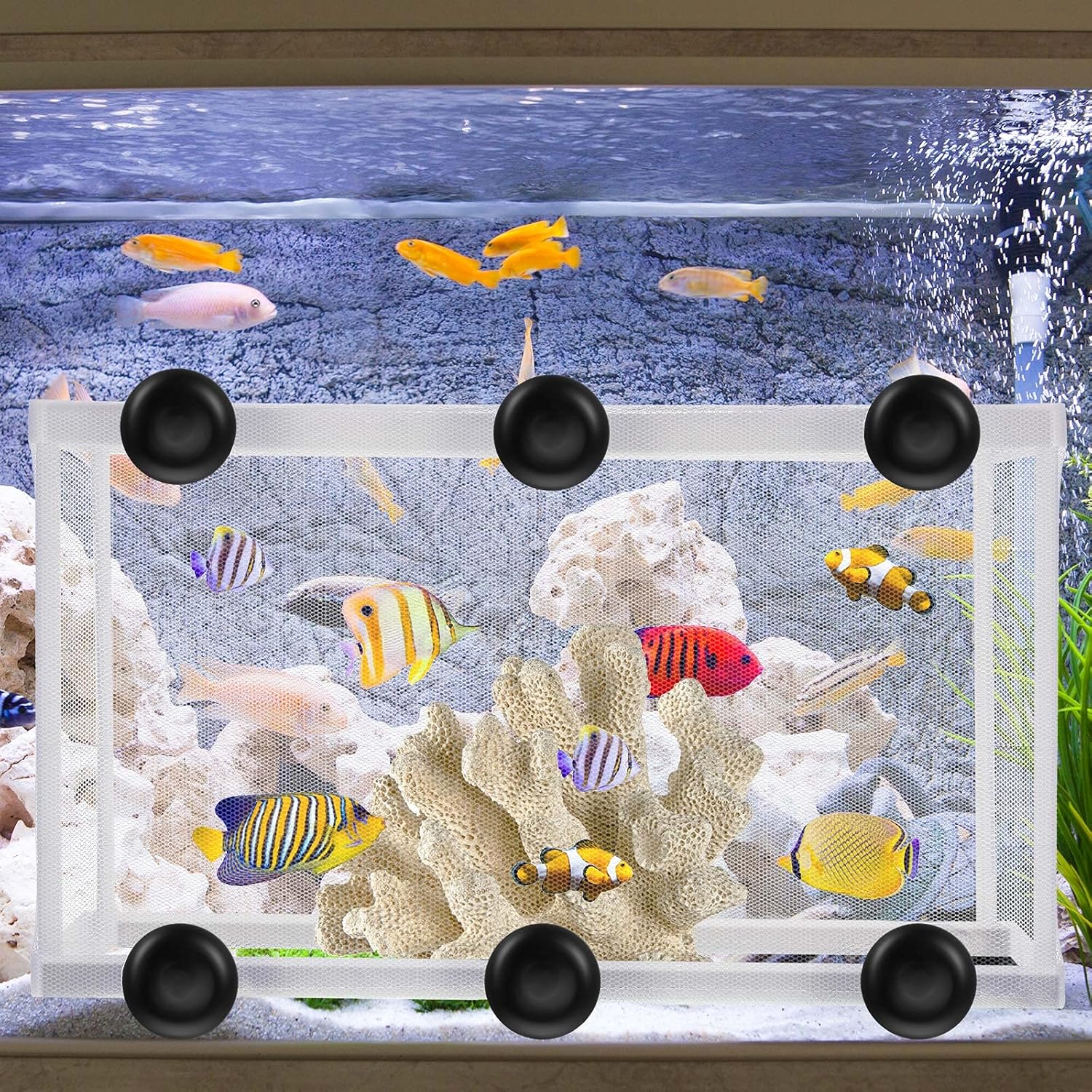 2 Pieces Fish Tank Breeder Net Mesh Breeder Box Fish Hatchery Isolation Separation Net Plastic Frame Fry Hatchery Incubator Mesh Breeding Box with Suction Cup for Aquarium