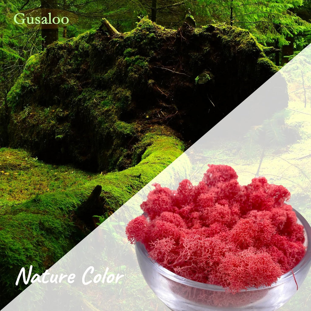 Moss Preserved Moss for Potted Plants Natural Fresh Green Reindeer Moss for Craft Arts Floral Wall Decor Decor Wedding Centerpieces Garden Artificial Terrariums Decoration for Christmas-Purple Red