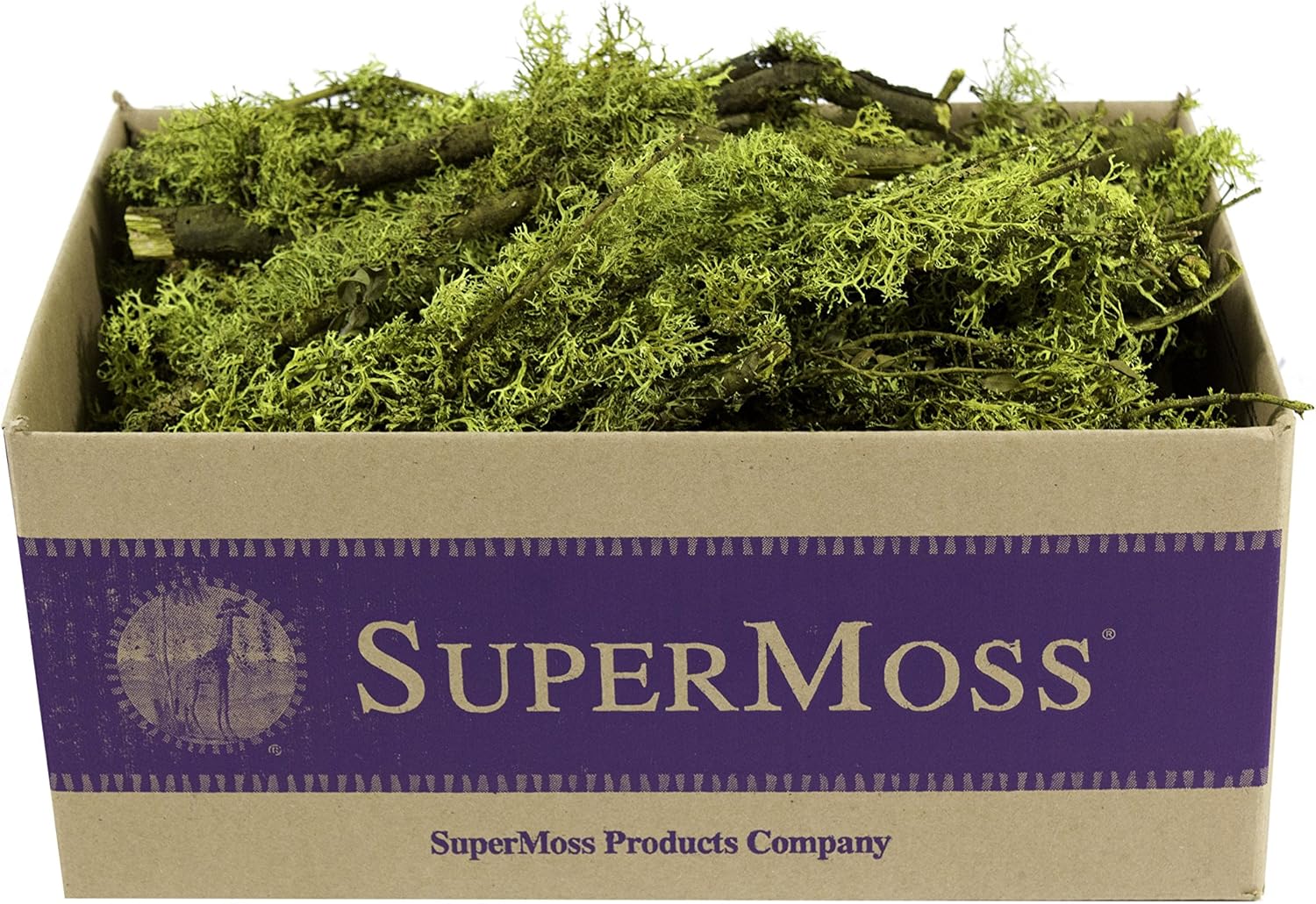 SuperMoss (23548 Branched Lichen Parmelia – Natural Preserved Lichen Branches for Floral Arrangements, Home Decor, and Terrariums, 1,560 cu. in., Chartreuse