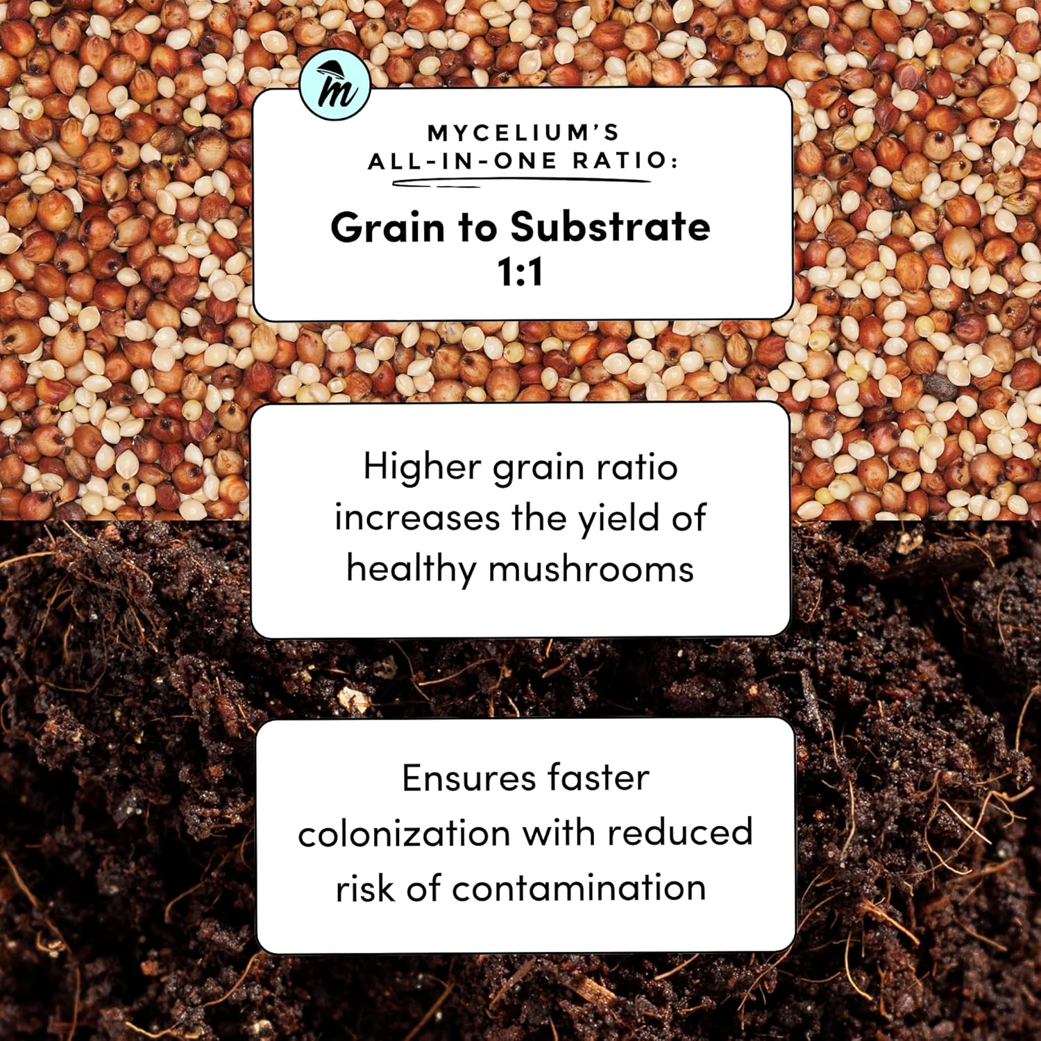 Mycelium 3LB All-in-One CVG Mushroom Grow Bag – Organic Coco Coir, Vermiculite & Gypsum Substrate with Sterilized Millet/Milo Grain – Ideal for Dung-Loving Mushrooms – Pre-Sterilized & Ready to Use