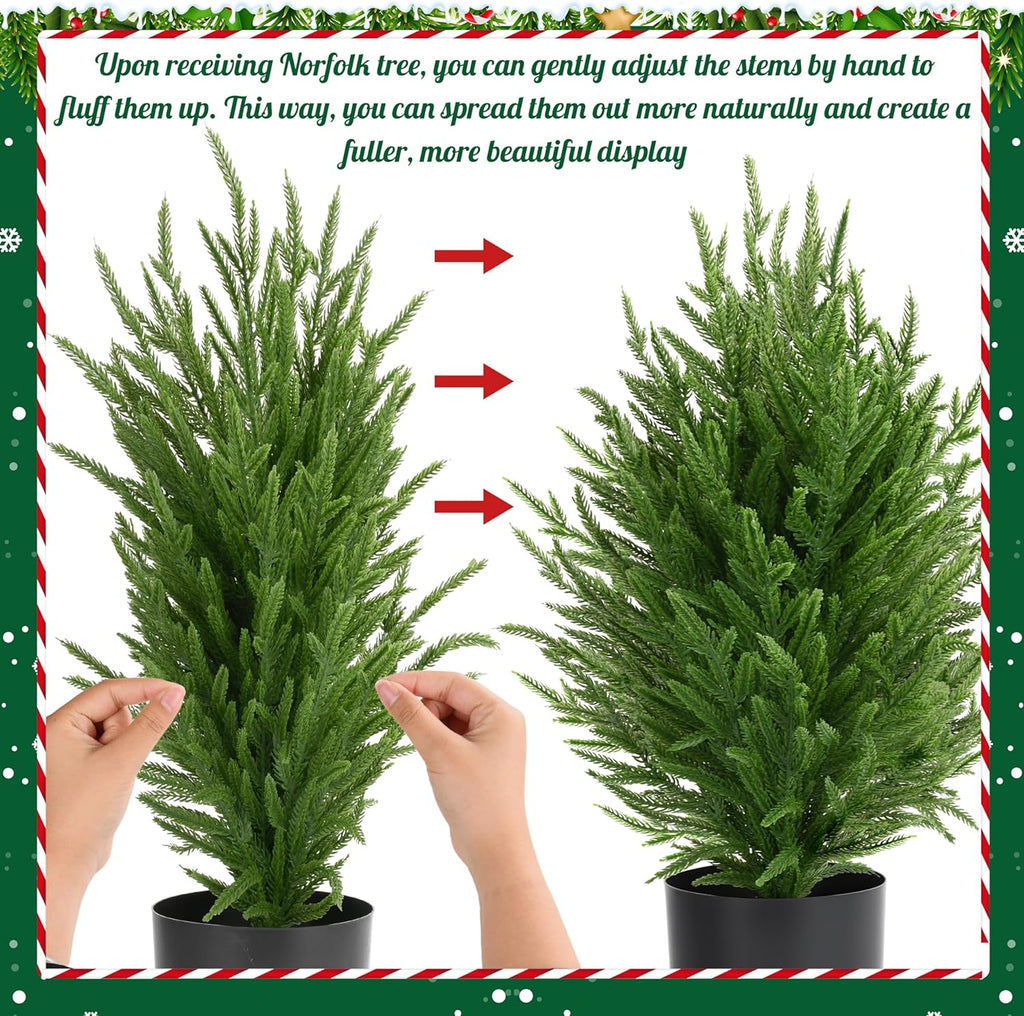 Palonu 2 Pcs 2Ft Christmas Norfolk Pine Potted Trees, 24" Realistic Artificial Norfolk Tree with Pot Faux Greenery UV Resistant Fake Plants for Tabletop Front Porch Indoor Outdoor Home Décor