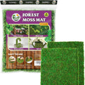 DUSPRO 13x9.5 Inches Moss Mat 2Pcs, Peel and Stick Moss Sheets for Crafts, Moss Sheets for Planters, Moss for Plants Indoor, Adhesive Moss Sheets for Crafts, Sticky Moss for Fairy Garden