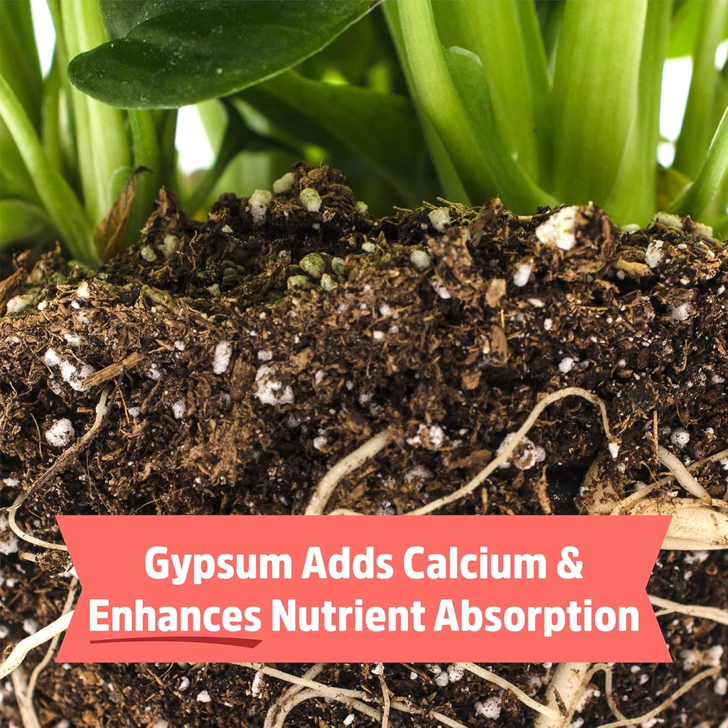Back to The Roots 100% Organic Bone Meal | Made in The USA | Premium Nutrition for Indoor and Outdoor Plant Gardening