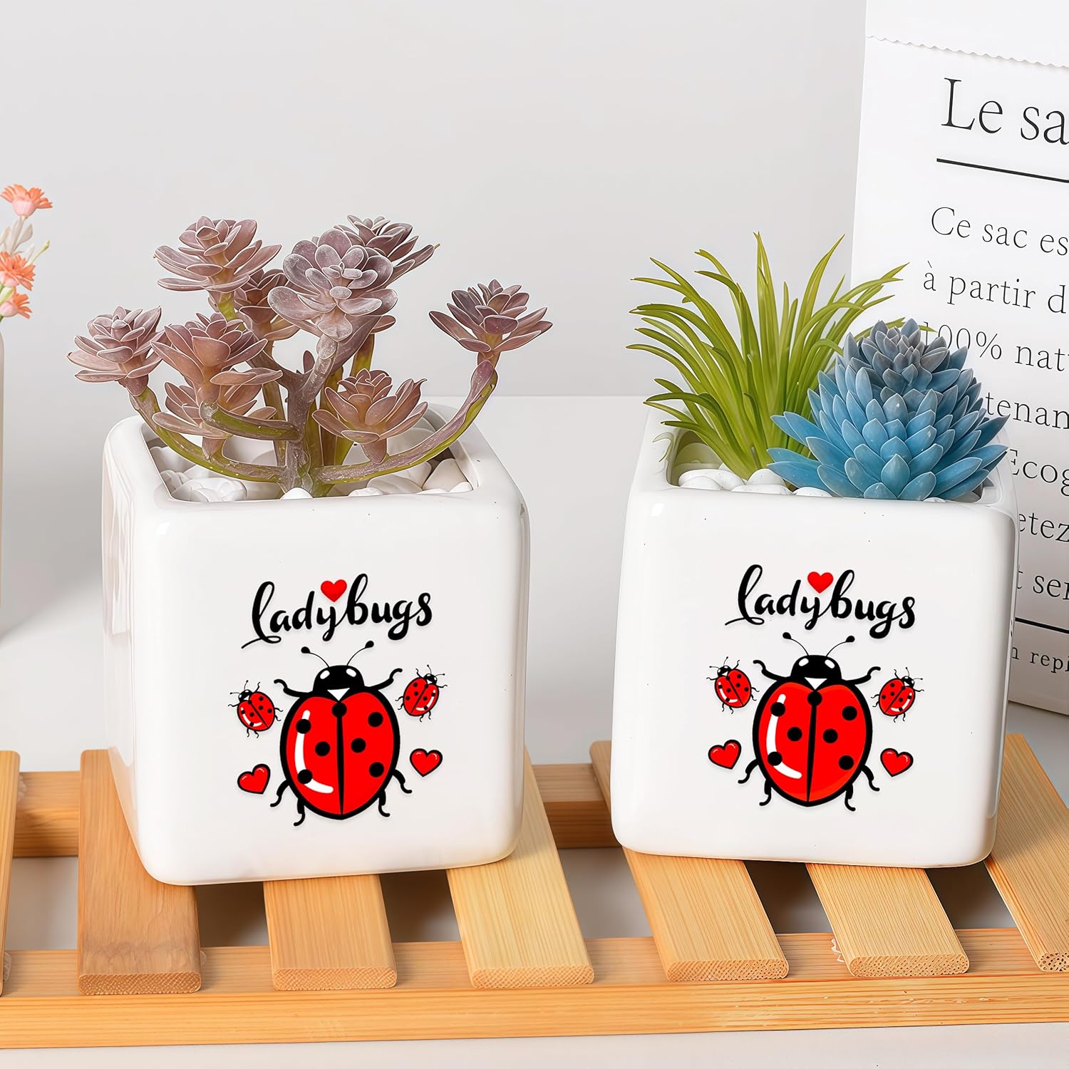 Ladybugs Succulent Planter Flower Plant Pot Small, Gifts for Women Teens Girls Kids, Ladybugs Lovers Themed Stuff Accessories Things Decor Merch, Home Office Table Desk Decoration!