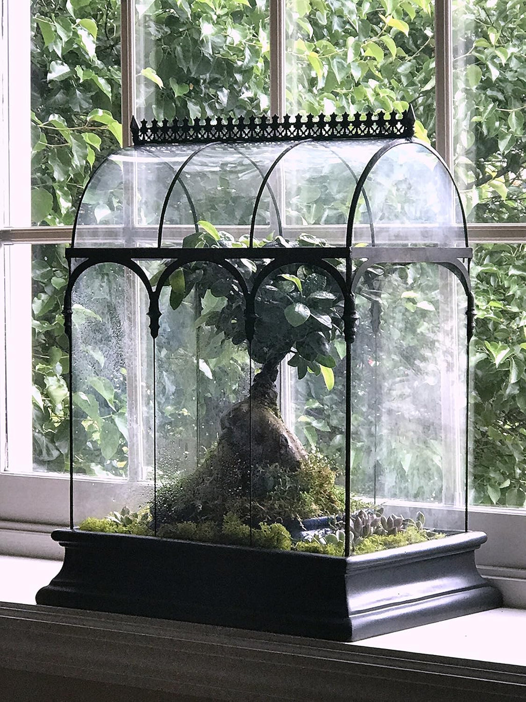Terrarium Large Glass Succulent Planter Wardian Case Container for Plants from H Potter WAR150