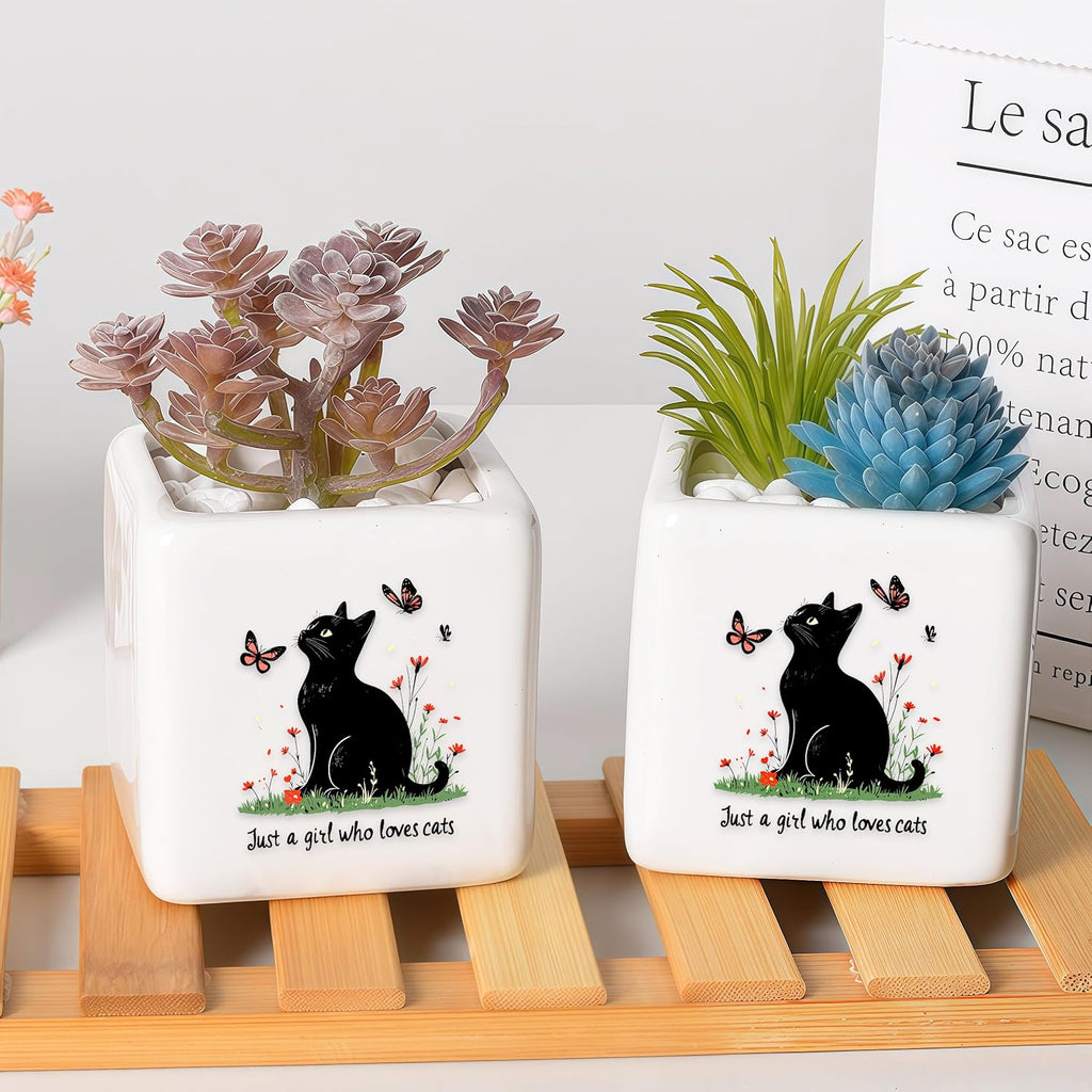 Black Cat Succulent Planter Flower Plant Pot Small, Gifts for Women Teens Girls Kids, Cat Lovers Themed Stuff Accessories Things Decor Merch, Home Office Table Desk Decoration!