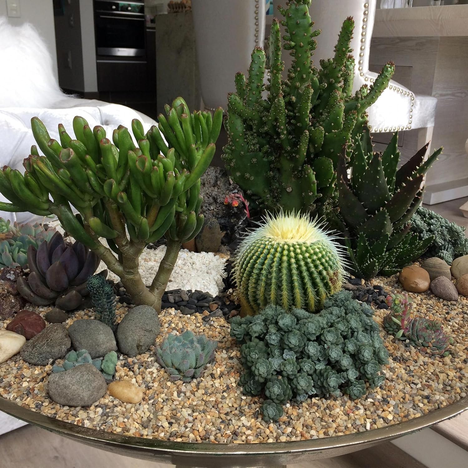 Aquarium Gravel 20 lbs, 2-4mm Fish Tank Gravel, Succulent Cactus Pea Gravel for Indoor Plants, River Rocks for Gardening, Flower Pots, Vase Fillers, Garden Landscaping