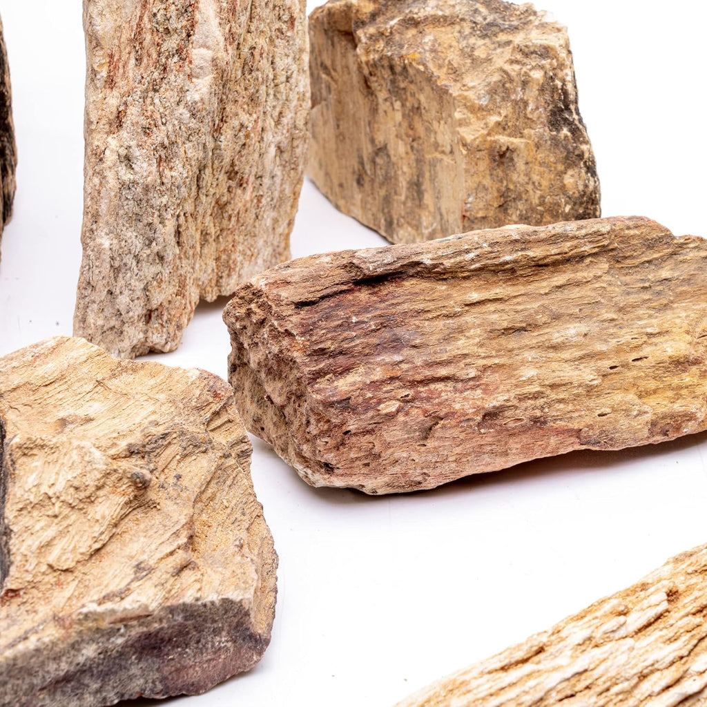 SubstrateSource Natural Stone for Aquarium, Terrarium, Paludarium, Reptile Enclosures - Set of Decorative Rocks for Landcapes, Aquascaping, Fish Tank Decor (Burmese Petrified Wood Stone, 10 lbs, 3-7")