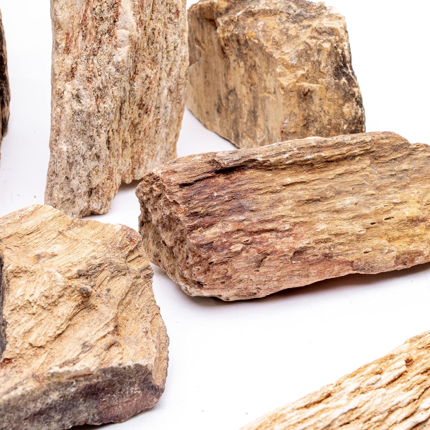 SubstrateSource Natural Stone for Aquarium, Terrarium, Paludarium, Reptile Enclosures - Set of Decorative Rocks for Landcapes, Aquascaping, Fish Tank Decor (Burmese Petrified Wood Stone, 10 lbs, 3-7")