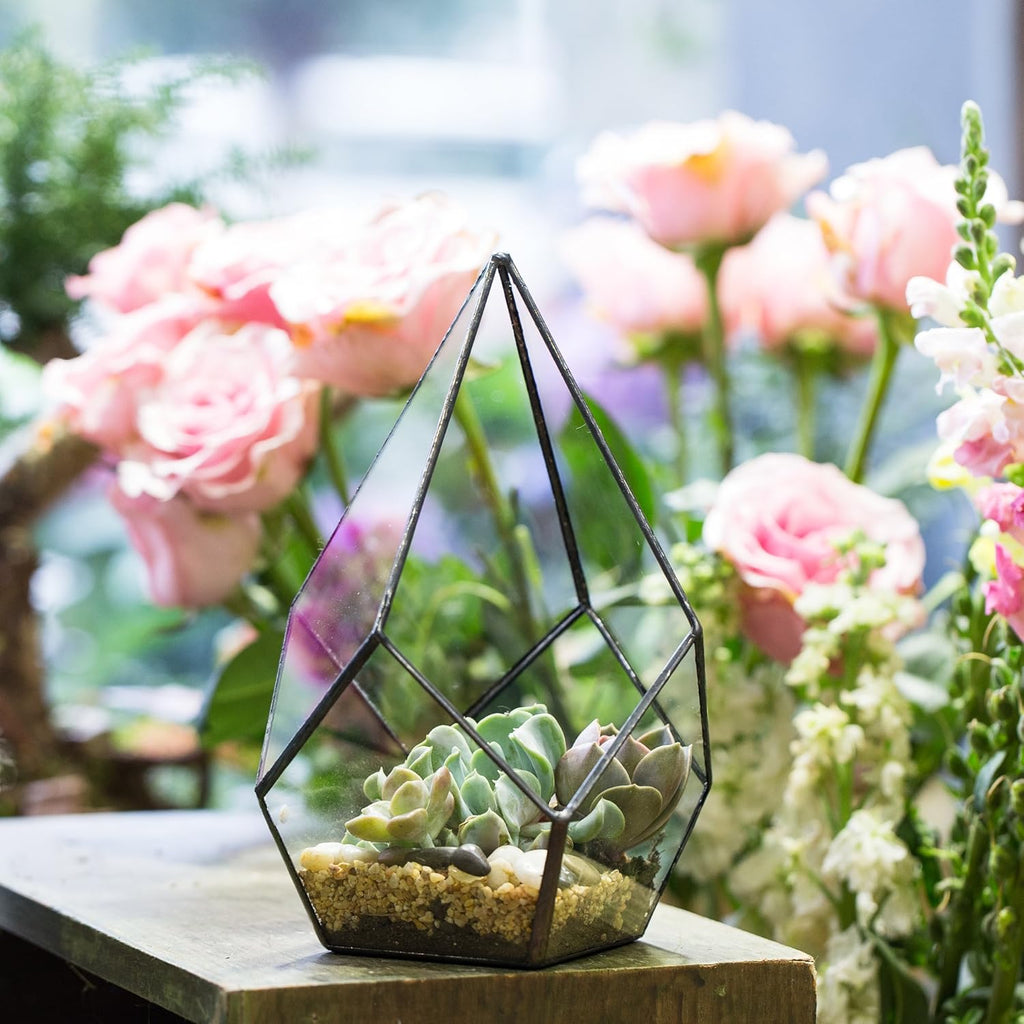 NCYP Geometric Glass Terrarium Planter - 5.5 x 5.5 x 9 Inches - Diamond Shape Flower Pot for Succulent Air Plant - Home, Office Desktop Decoration Terrarium, Black (No Plants Included)