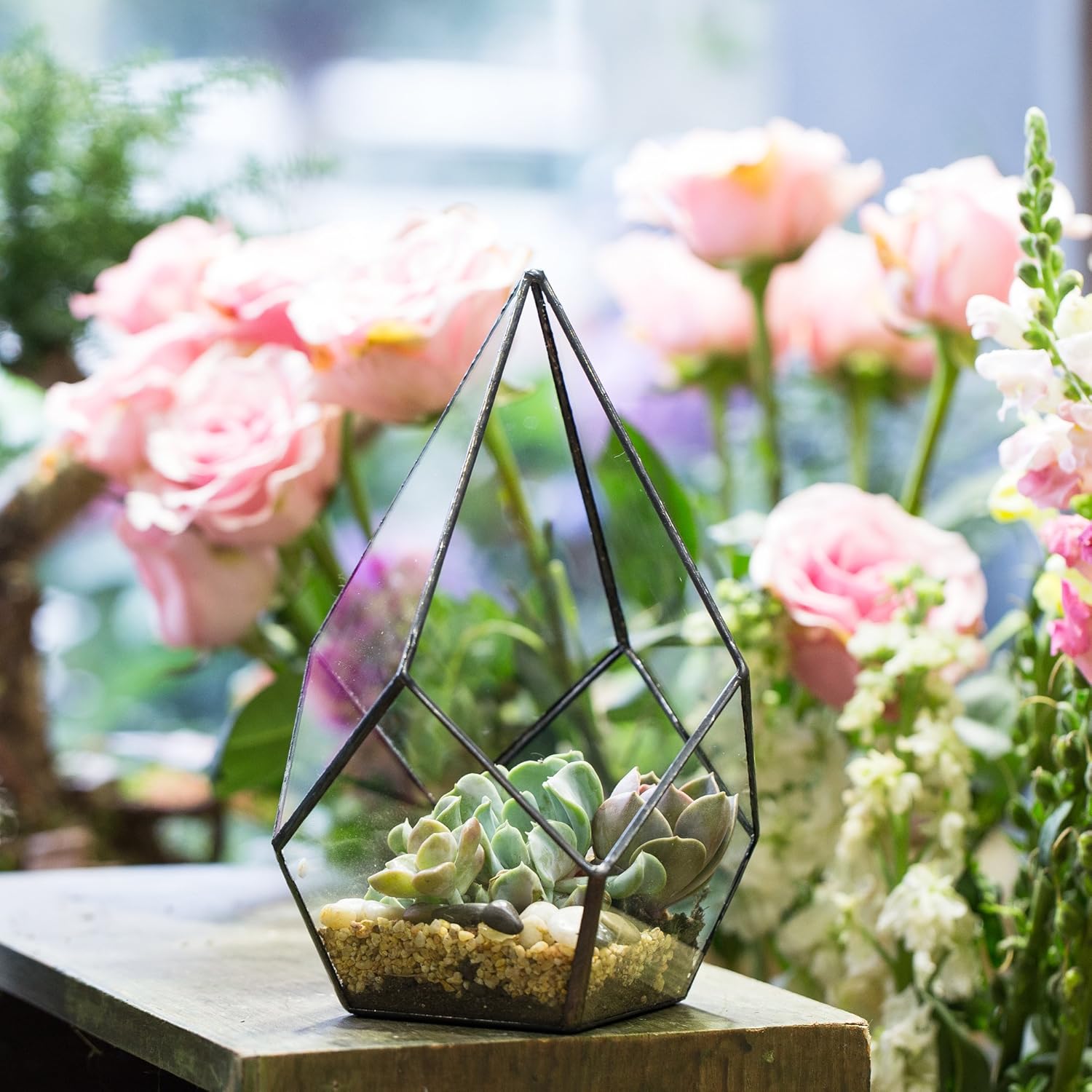 NCYP Geometric Glass Terrarium Planter - 5.5 x 5.5 x 9 Inches - Diamond Shape Flower Pot for Succulent Air Plant - Home, Office Desktop Decoration Terrarium, Black (No Plants Included)