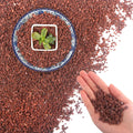 45Lb Horticultural Lava Rock - Succulent Soil Amendment, Decorative Cactus Soil Potting Mix, Volcanic Rock for Aquarium, Fairy Gardening Top Dressing, Plant Drainage