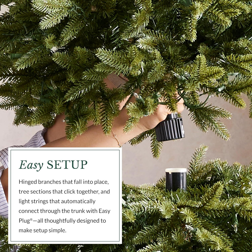 Balsam Hill European Silver Fir - Elegant Artificial Christmas Tree with True Needle Foliage Available Unlit or with LED Clear Lights, LED Clear, 7'