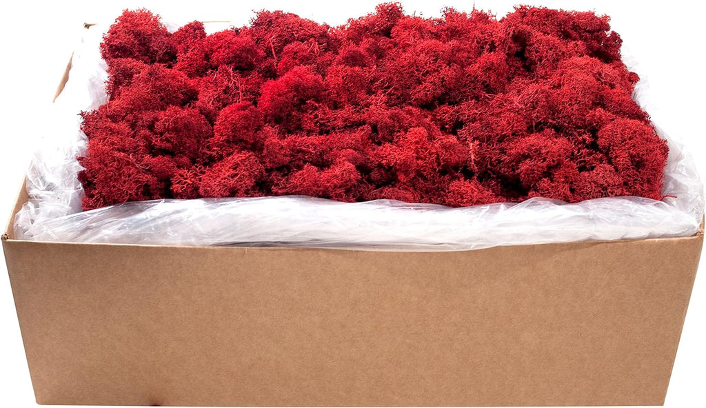 SuperMoss (21793) Reindeer Moss – Soft Preserved Moss for Home Decor, Crafts, Terrariums, Floral Design, and Wedding Decorations, 2,588 cu in, Red