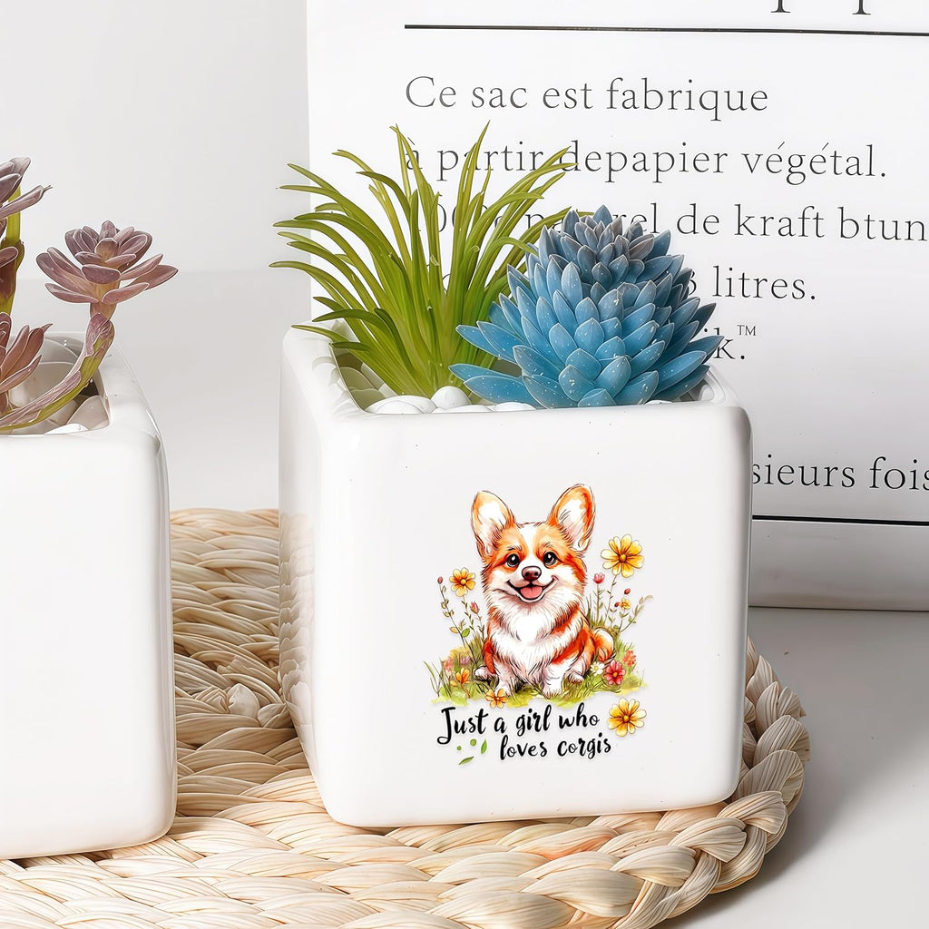 Corgi Succulent Planter Flower Plant Pot Small, Gifts for Women Teens Girls Kids, Corgi Lovers Themed Stuff Accessories Things Decor Merch, Home Office Table Desk Decoration!
