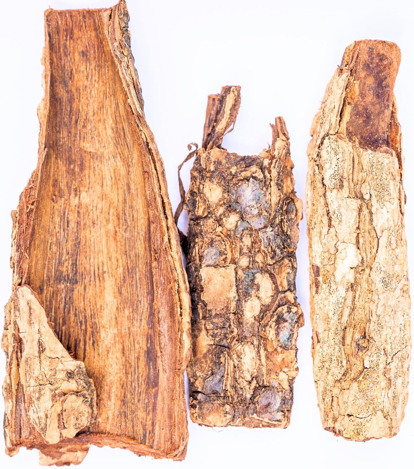 Shrimp Tank Hideout Indian Almond Bark,Catappa Barks 50g - Betta Logs Reptile Bark Terrarium, Tannin Source Biofilm Producer & Aquarium cave - Assorted Sizes