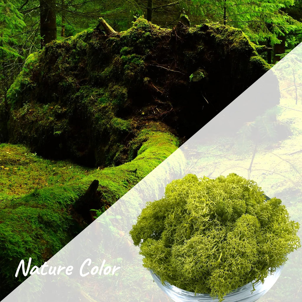 Moss Preserved Artificial Moss - 8.8 oz Natural Fresh Green for Craft, Arts, Floral Projects, Wall & Table Decor, Wedding Centerpieces, Garden Terrariums - Lemon Yellow