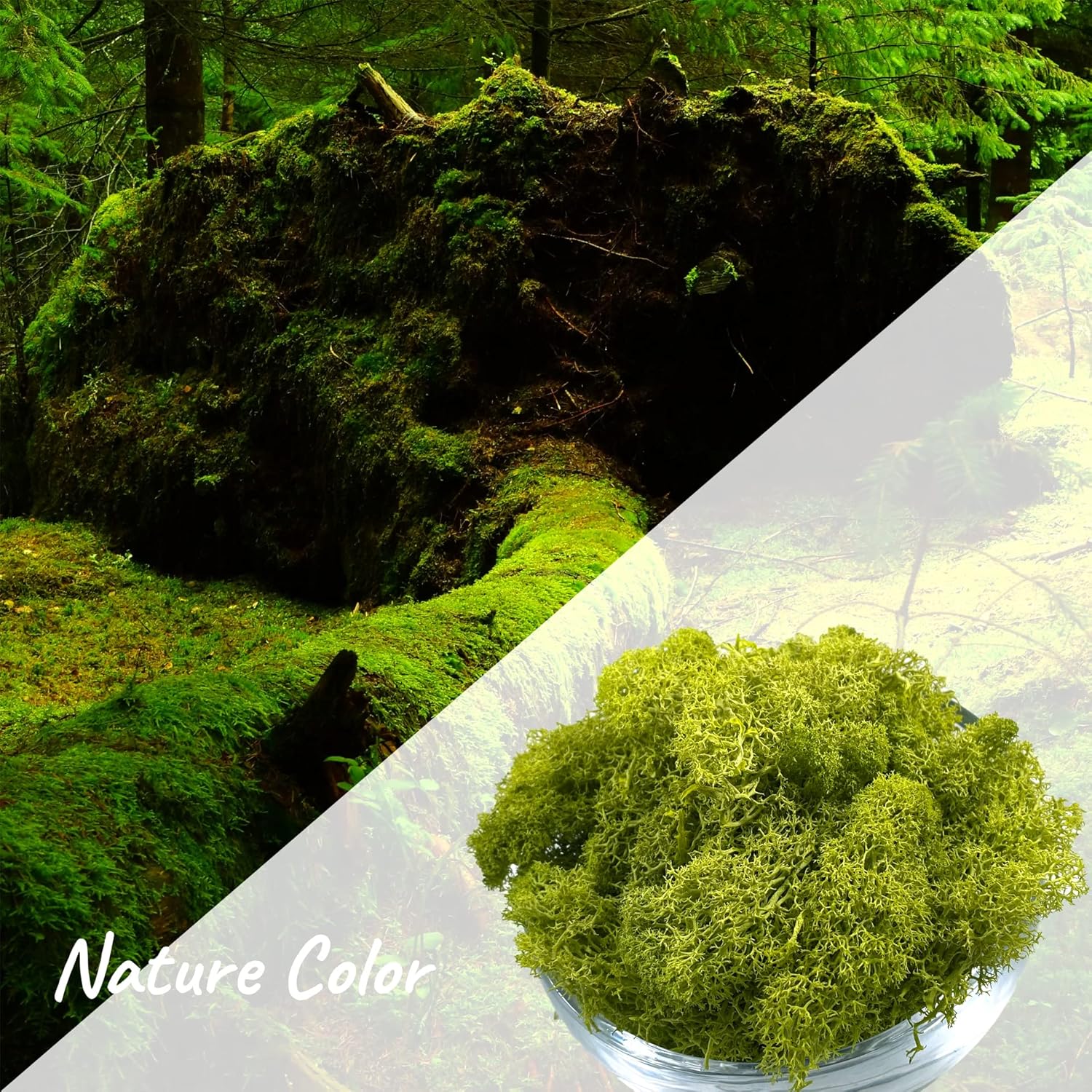 Moss Preserved Artificial Moss - 8.8 oz Natural Fresh Green for Craft, Arts, Floral Projects, Wall & Table Decor, Wedding Centerpieces, Garden Terrariums - Lemon Yellow