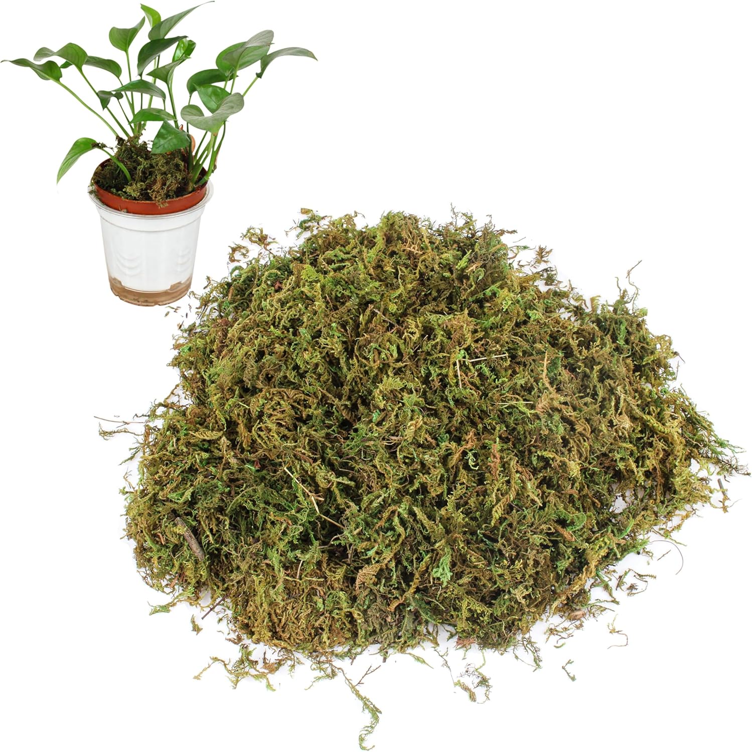 Artificial Moss for Crafts - 11 OZ - Faux Green Moss for Decorating Plants Indoor, Pot Filler for Artificial Plants