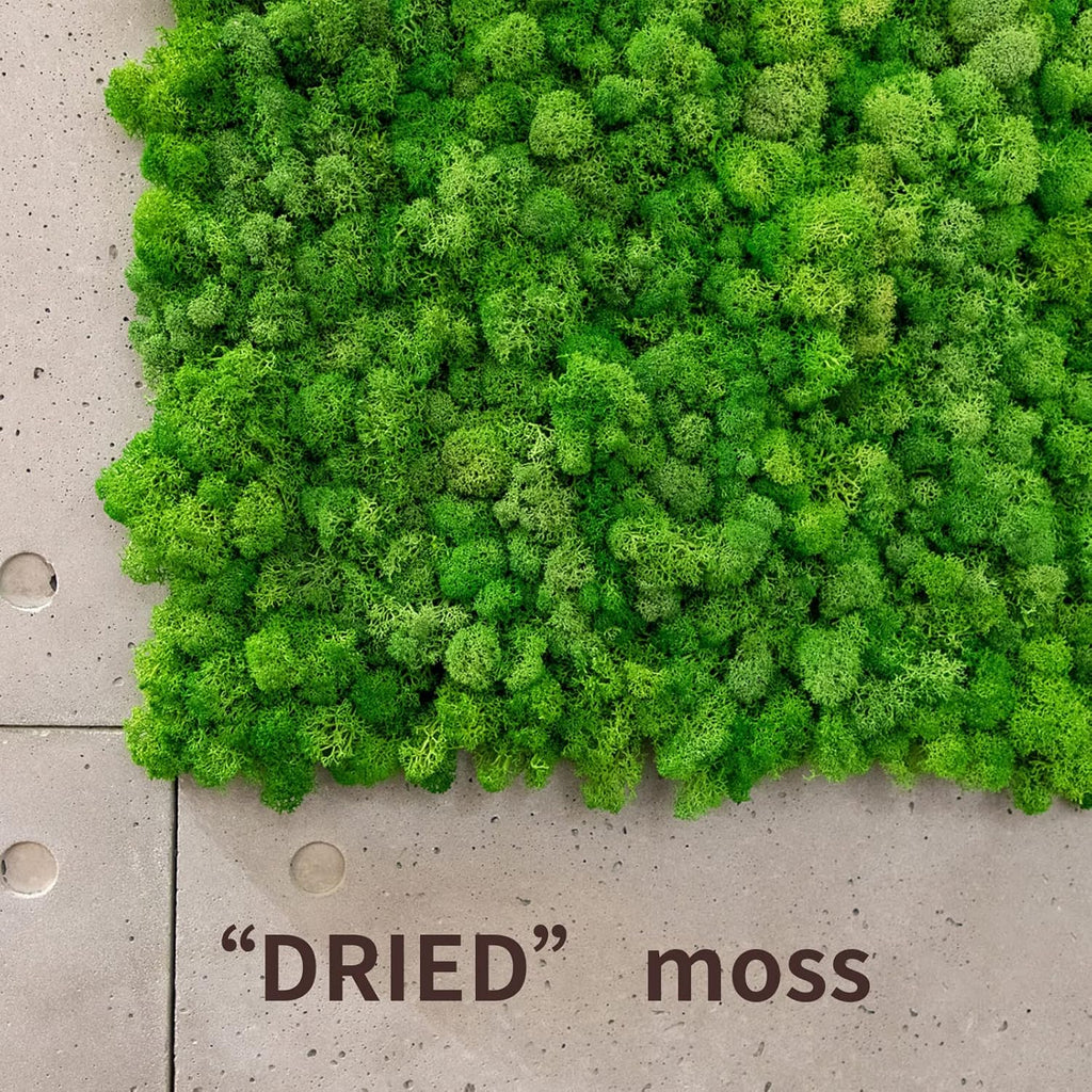 TurelinnG Preserved Moss 0.88LB Reindeer Craft Moss, Fake Moss Suitable for Crafts, Flowerbeds, Home Office Artistic Decoration Green