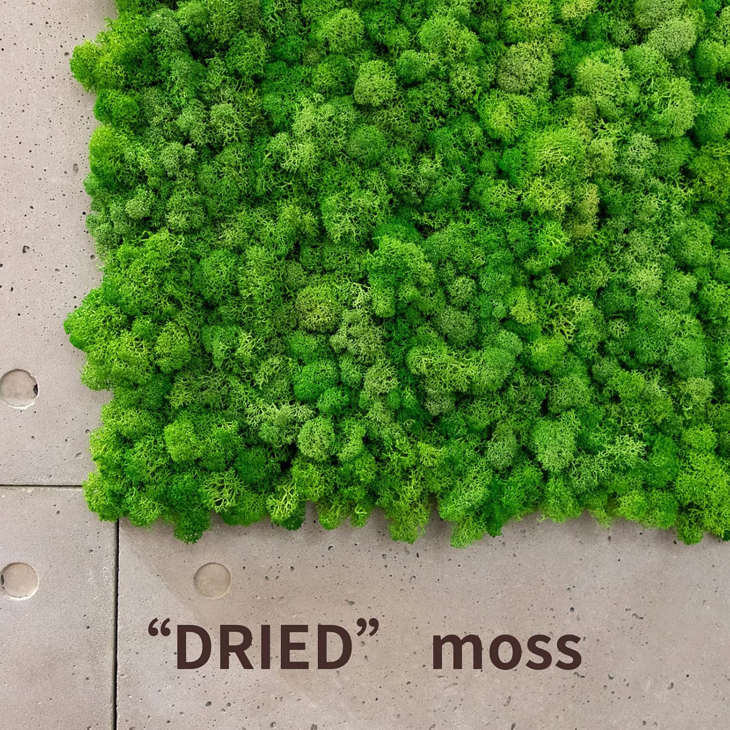 TurelinnG Preserved Moss 0.88LB Reindeer Craft Moss, Fake Moss Suitable for Flowerbeds, Crafts, Home Office Artistic Decoration Green