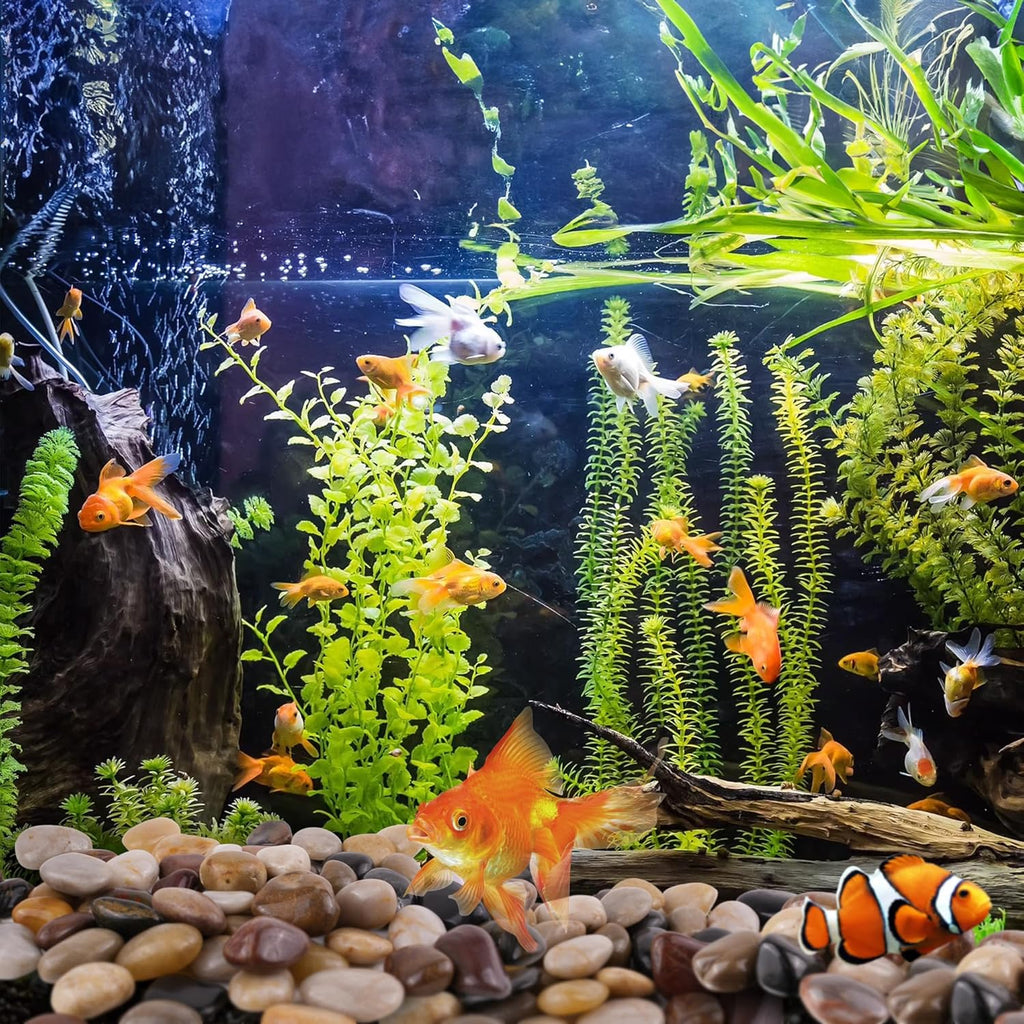 40lbs Black Pebbles for Landscaping, 1-2Inch Natural River Rocks for Aquarium, High Polished Decorative Stones for Vase Filler Fish Tank Gardening