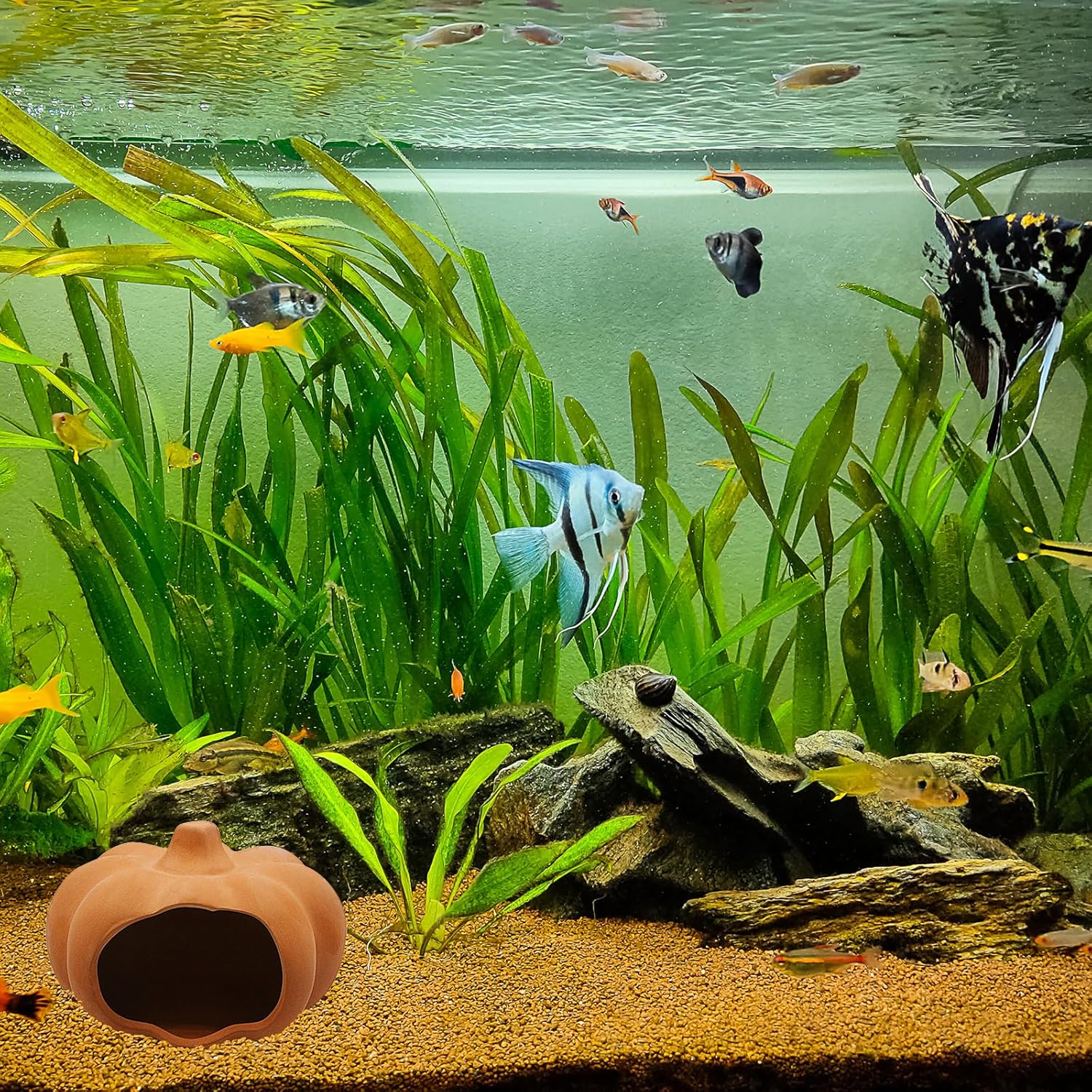 PENCK Betta Fish Tank Accessories Aquarium Decor Cute Ceramic Pumpkin Shaped Fish Tank Ornament Hideaway Cave Shrimp Fish Hideout for Aquarium