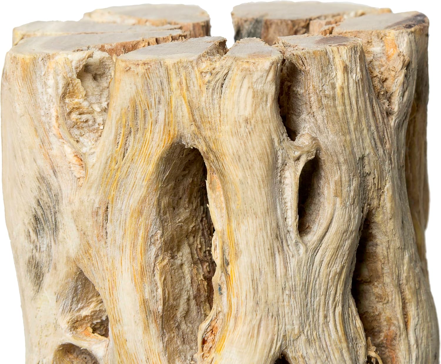 Galápagos (05271) Cholla Wood - Natural Aquarium & Terrarium Decoration for Fish Tanks, Reptile Tanks, and Bird Perches, 12”, Natural