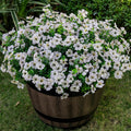20 Bundles Artificial Flowers for Outdoor Fake Plants for Spring Decoration,Faux Eucalyptus Flowers for Planter UV Resistant Lifelike for Home Porch Garden（White）