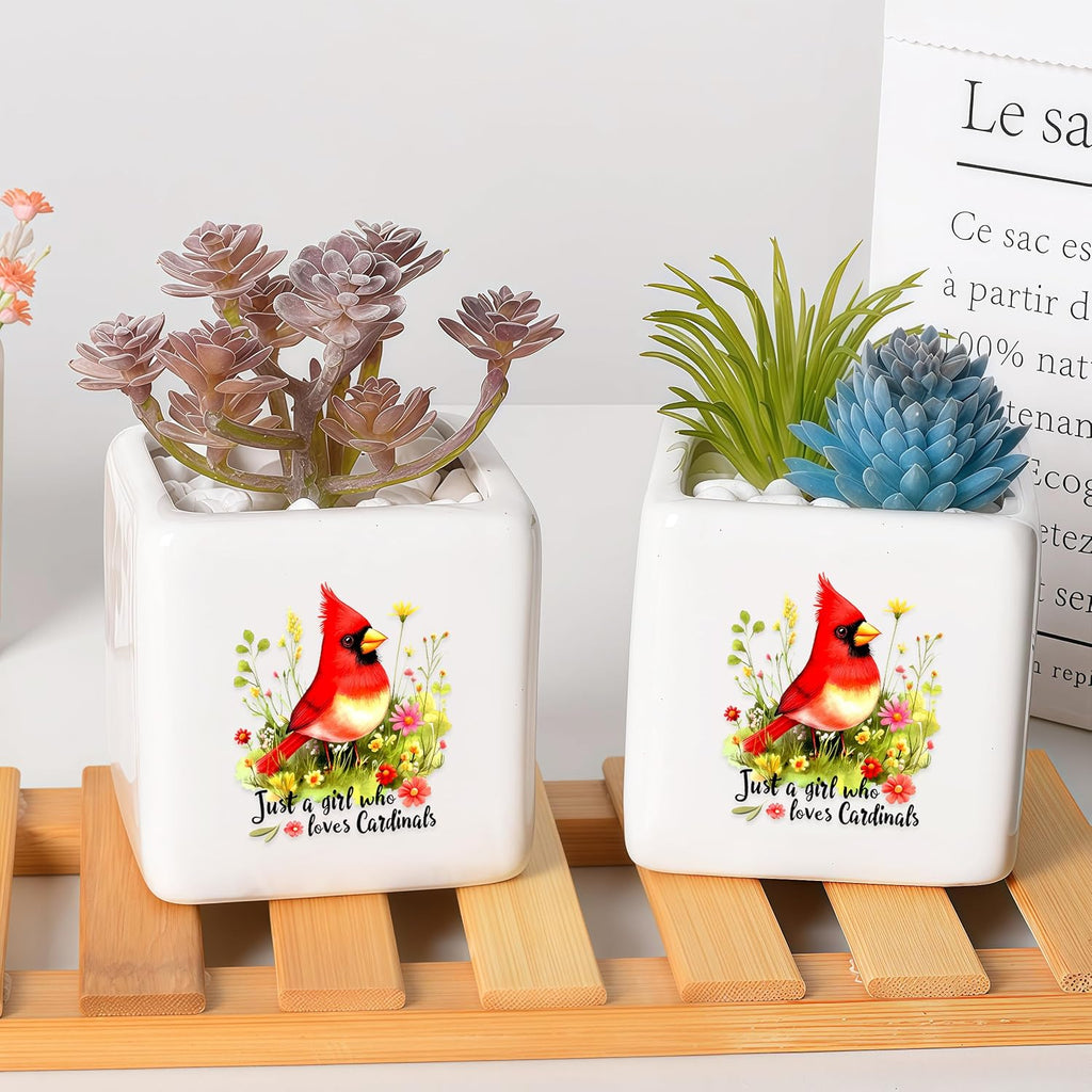 Cardinal Succulent Planter Flower Plant Pot Small, Gifts for Women Teens Girls Kids, Cardinal Lovers Themed Stuff Accessories Things Decor Merch, Home Office Table Desk Decoration!