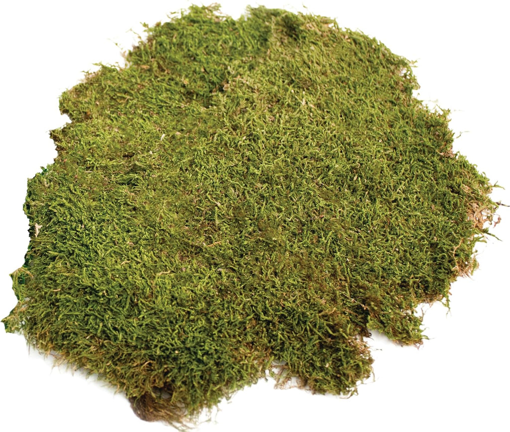 SuperMoss (21588) Sheet Moss Preserved, Natural, 5 Pounds (20-24 sq. ft.)