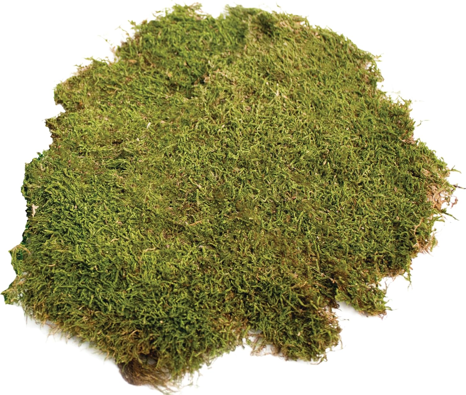 SuperMoss (21582) Sheet Moss Dried, Natural, 8oz