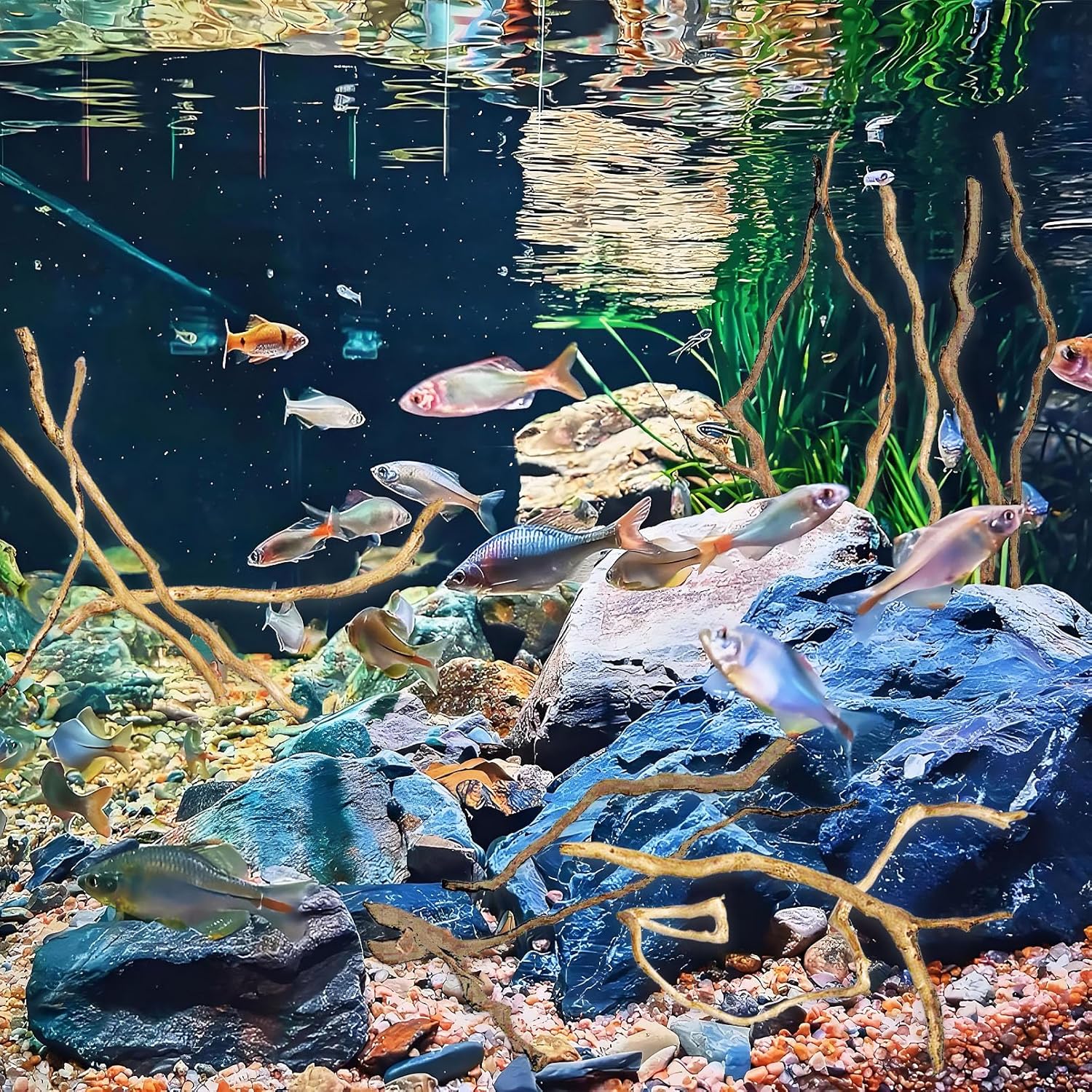 Hamiledyi Natural Driftwood for Aquarium Decor - Red Moor Wood 10"-15" Long Assorted Shapes (100g) Safe Branches for Fish Tank & Reptile Habitat - Natural Aquarium Wood Decorations (Delicate branches)