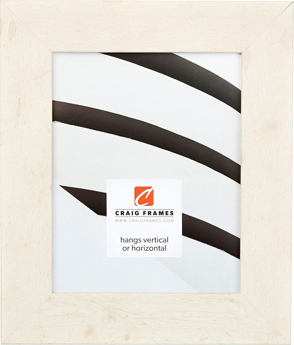 Craig Frames 74012 12 by 16-Inch Picture Frame, Smooth Wrap Finish, 2-Inch Wide, Off-White Rustic Pine