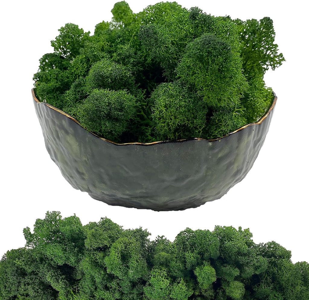 Moss Preserved Artificial Moss 8.8 oz Natural Fresh Green Moss for Craft Arts Floral Project Wall Decor Table Decor Wedding Centerpieces Garden Terrariums Decoration