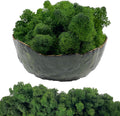 Moss Preserved Artificial Moss 8.8 oz Natural Fresh Green Moss for Craft Arts Floral Project Wall Decor Table Decor Wedding Centerpieces Garden Terrariums Decoration