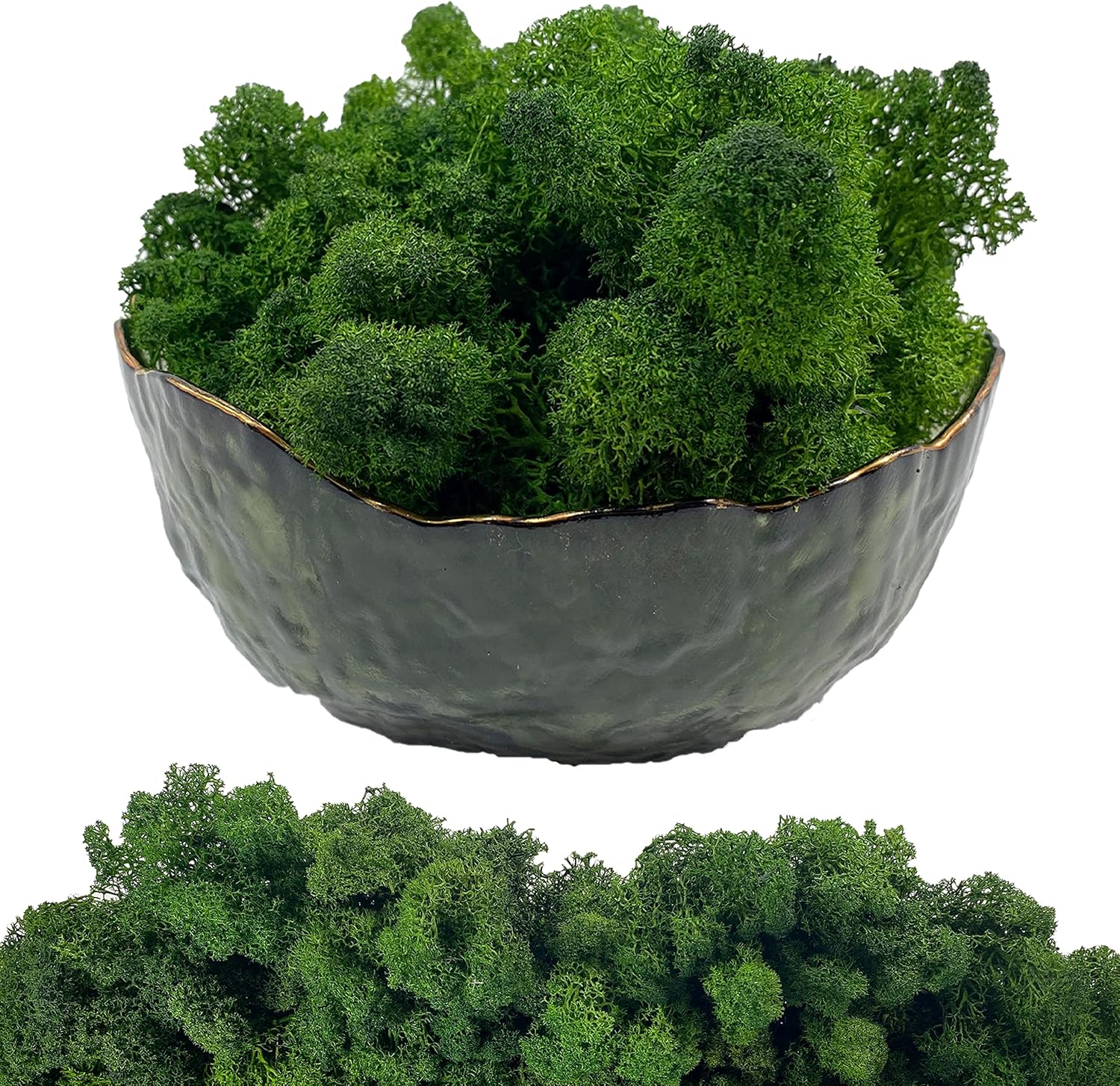 Moss Preserved Artificial Moss 8.8 oz Natural Fresh Green Moss for Craft Arts Floral Project Wall Decor Table Decor Wedding Centerpieces Garden Terrariums Decoration