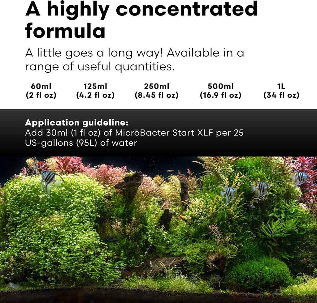 Brightwell Aquatics MicroBacter Start XLF - Concentrated Freshwater Nitrifying Bacteria - Quick Start Fish Tank Starter, Lift Microbe Levels & Water Filtering - Aquarium Water Treatments, 8.45 fl oz