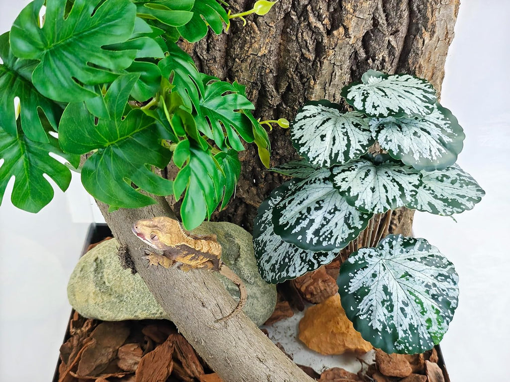 Woyrise Reptile Artificial Plants for Terrarium Decor, Amphibian Habitat Decorations Bearded Dragon Tank Accessories fit Crested Gecko Leopard Lizard Chameleon Snake Frog - Fake Spots Heuchera