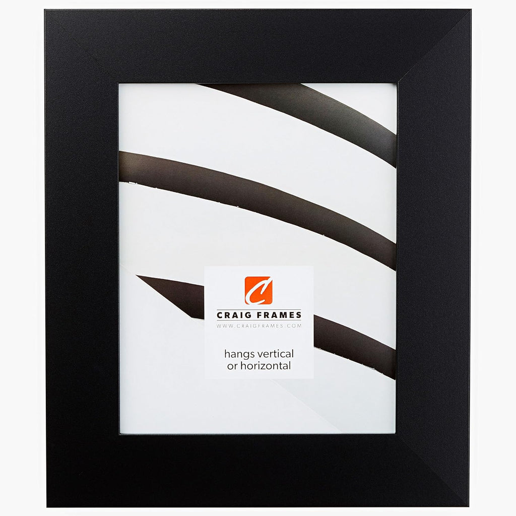 Craig Frames Bauhaus 200, 24x36 Picture Frame, Mystic Satin Black