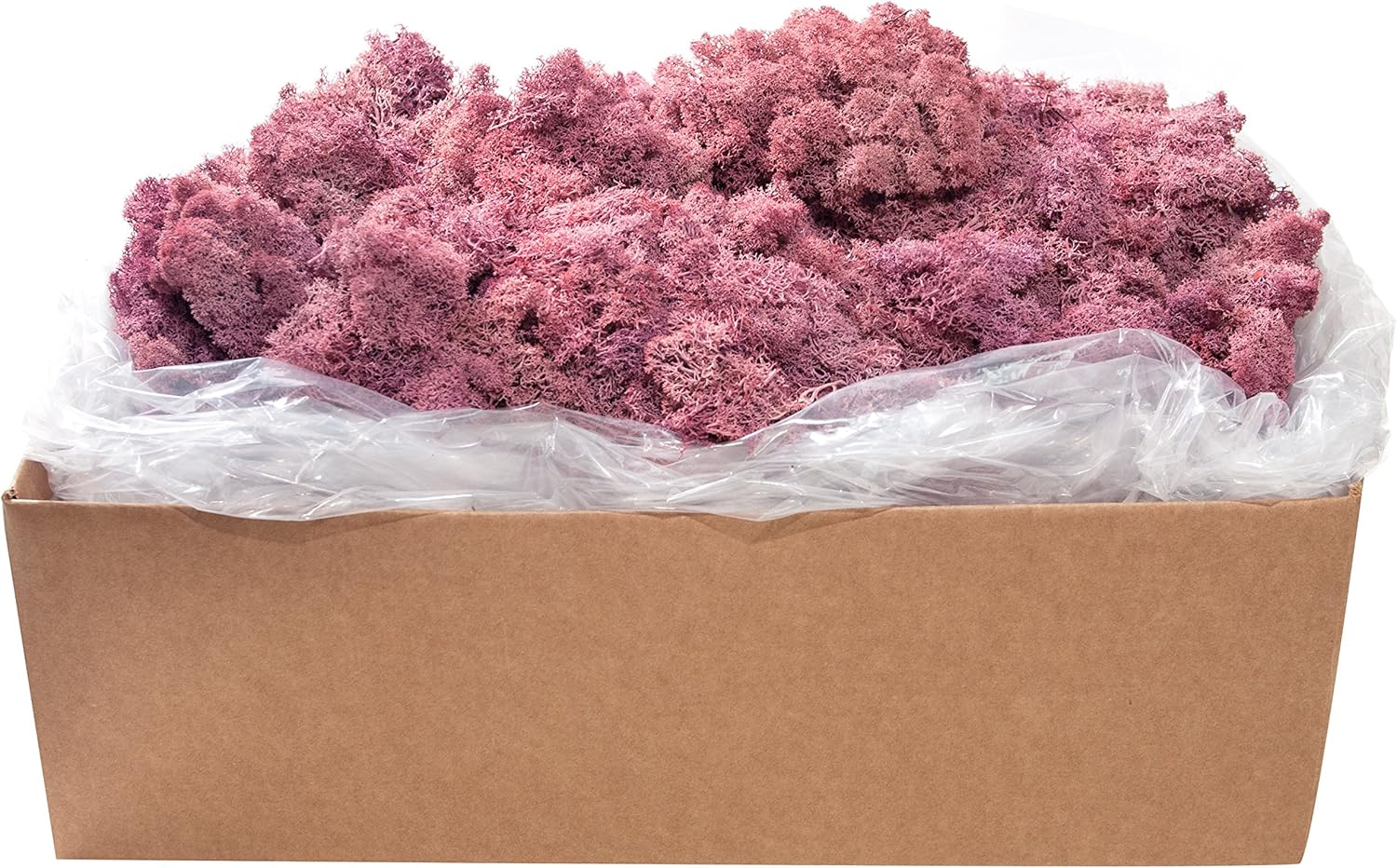 SuperMoss (21791) Reindeer Moss – Soft Preserved Moss for Home Decor, Crafts, Terrariums, Floral Design, and Wedding Decorations, 2,588 cu in, Dusty Rose