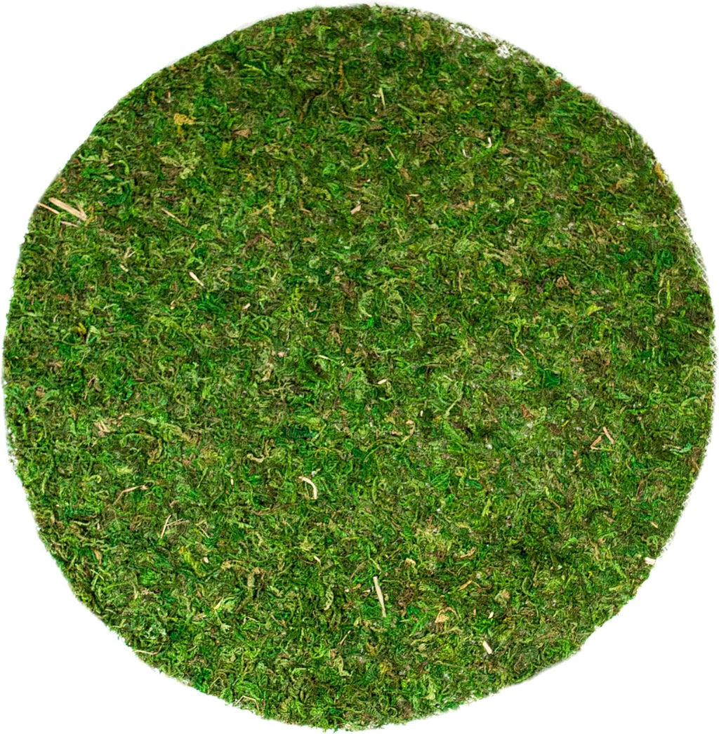 SuperMoss (26330) Moss Soil Toppers (Place Mats), Fresh Green, 18" (3 units)