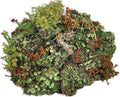Live Lichen Assortment 4"x6" Bag for Terrariums and Fairy Gardens